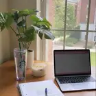 سيرة ذاتية احترافية ATS