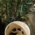 ابحث عن شقه