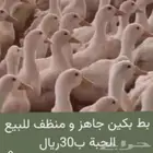 بط بكين منظف جاهز