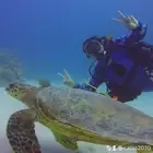 شهادات غواص معتمدة لمتقدمين الدفاع المدني