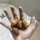 تمر سكري فاخر يجمل