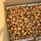 سكري القصيم الموقع الزلفي