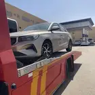 سطحه عقبه ضلع