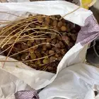 يوجد علف تمر عدد 15 كيس