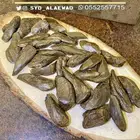 عود مروكي ملكي طبيعي محسن