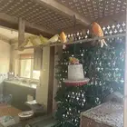 كنارى للبيع