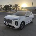 هافال جوليان 2024 مصدوم