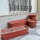 احواض زراعه