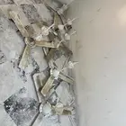 مراوح