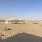للبيع عقم كبير شبوك ابل حضاير غنم في برمه