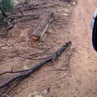 اثل مقصوص وبمكان للبيع