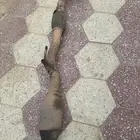 دبة تلوث كامري