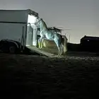عربة نقل الخيل