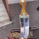 جنبيه