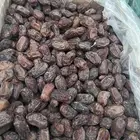 تمر خضري للبيع