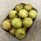 رمان الباحة