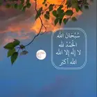 مطلوب شقه للاجار يكون دفع شهري من 1300الى 1600