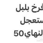 للبيع فرم بلبل