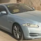 جاكوار مصدومه ممشى قليل