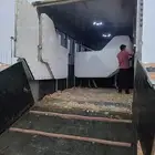 نقل خيل فرس حصان مهر