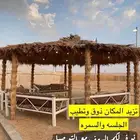 سعف نخل