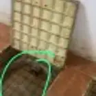 شركه تسليك مجاري وشفط بيارات بالقصيم