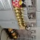 قهوه الشيوخ