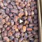 شراء التمور