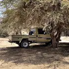 شاص 91