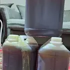 عسل مراعي حضرموت