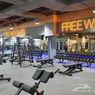 اشتراك نادي حديد جيمنيشن لياقة gymnation