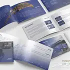 تصميم سير ذاتية احترافية بروفايلات شركات بأعلى جودة