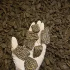 عود تايجر