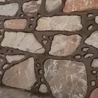 تكحيل برواز وعابد ابوعساف
