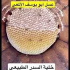 عسل بلدي مضمون 100