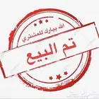 طير بغبغاء مكاو
