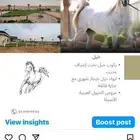 ايواء وربط خيل فرس حصان مهر للايجار الشهري واليومي
