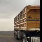 نقل مواشي بضاعه دخل خارج المملكة الحسب الاتفاق برد او بشهر