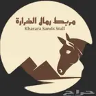 مربط رمال الخراره وبنفس الوقت منتجع وشاليهات رمال الخراره