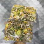 اكل كلاب