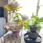 شوكولاته( حفر وطباعة)