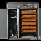 فقاسات مقاس 48_55_63-98-196_352_528_1584مع