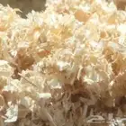 نشارة خشب جدا نظيفه لمزارع الدواجن وجميع الحيوانات الأليفه