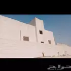 لياسه ملونه