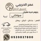سواكني للبيع