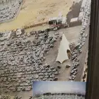 لوحة منظر جوي لمدينة التمور في بريدة