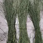 مرخ للحنيذ والمندي