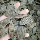 العود الفخامه الملكي سكاكا