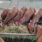 فروعنا الباحه الخميس جده مكه الخرج المزاحميه تبوك