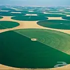 للإيجار رشاش زراعي محوري 8 ابراج